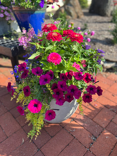 Florist «Matlack Florist», reviews and photos, 210 N Chester Rd, West Chester, PA 19380, USA