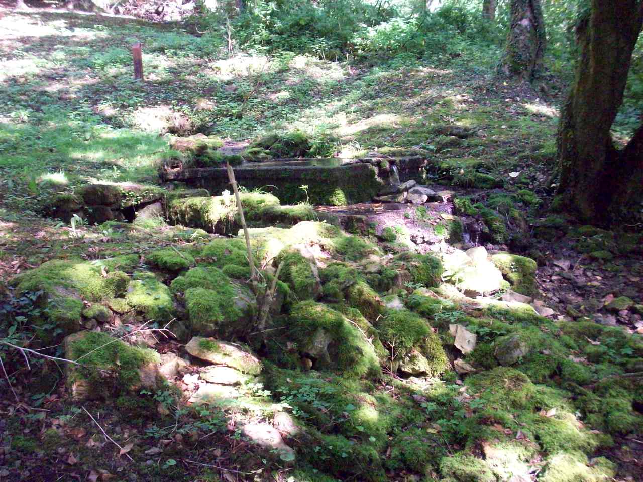 Photo n° 4 de l'avis de Olivier.a fait le 19/06/2017 à 21:14