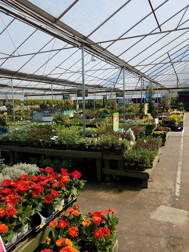 Garden Center «Pike Nurseries», reviews and photos, 615 W Crossville Rd, Roswell, GA 30075, USA
