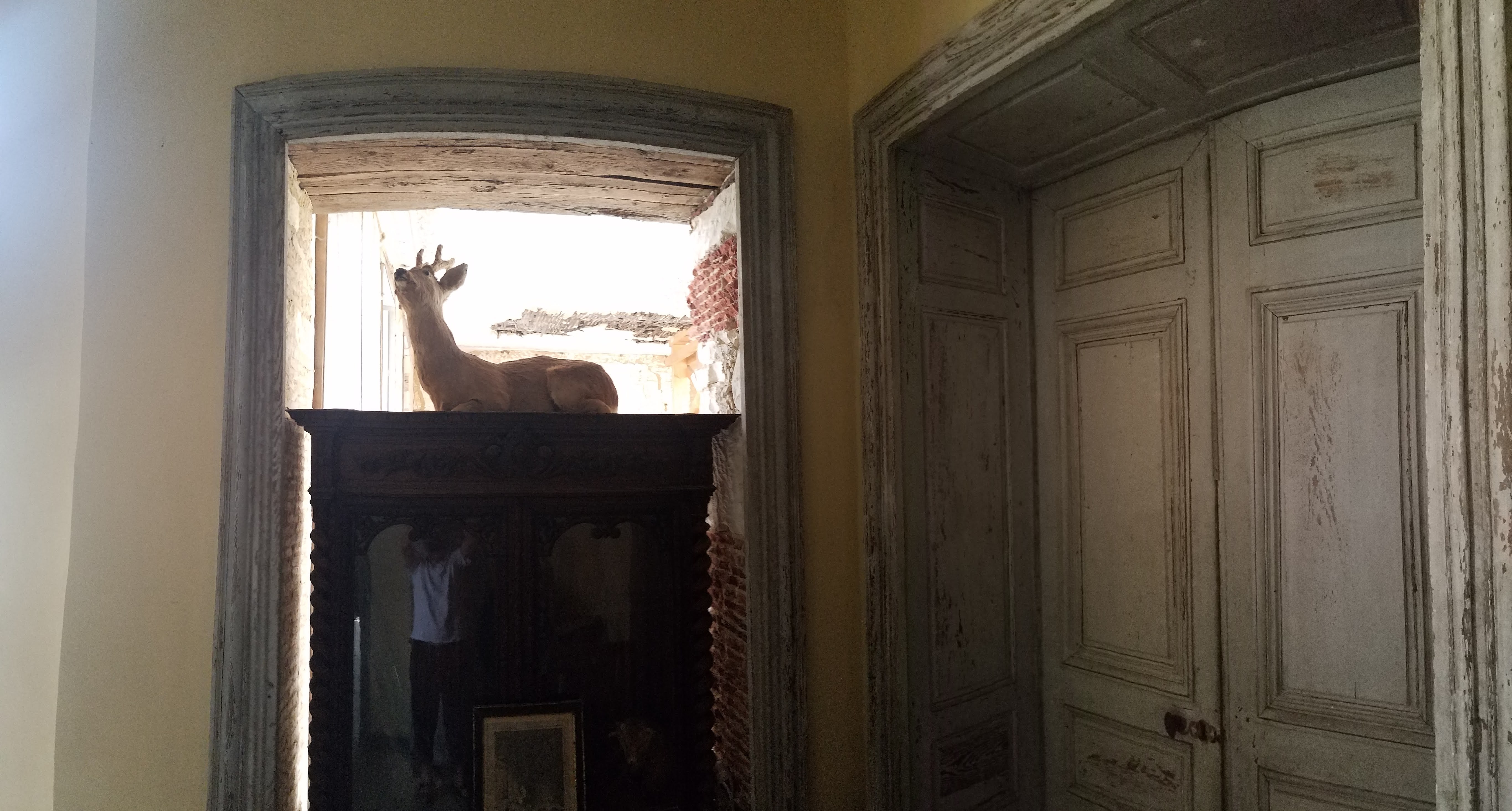 Photo n° 26 de l'avis de Daniel.a fait le 19/07/2020 à 18:44
