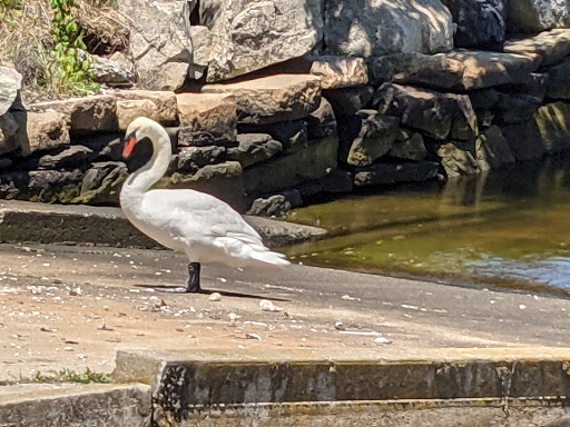 State Park «Fall River Heritage State Park», reviews and photos, Davol St, Fall River, MA 02720, USA