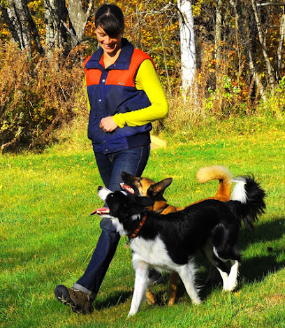 You and Your Dog Training & Services