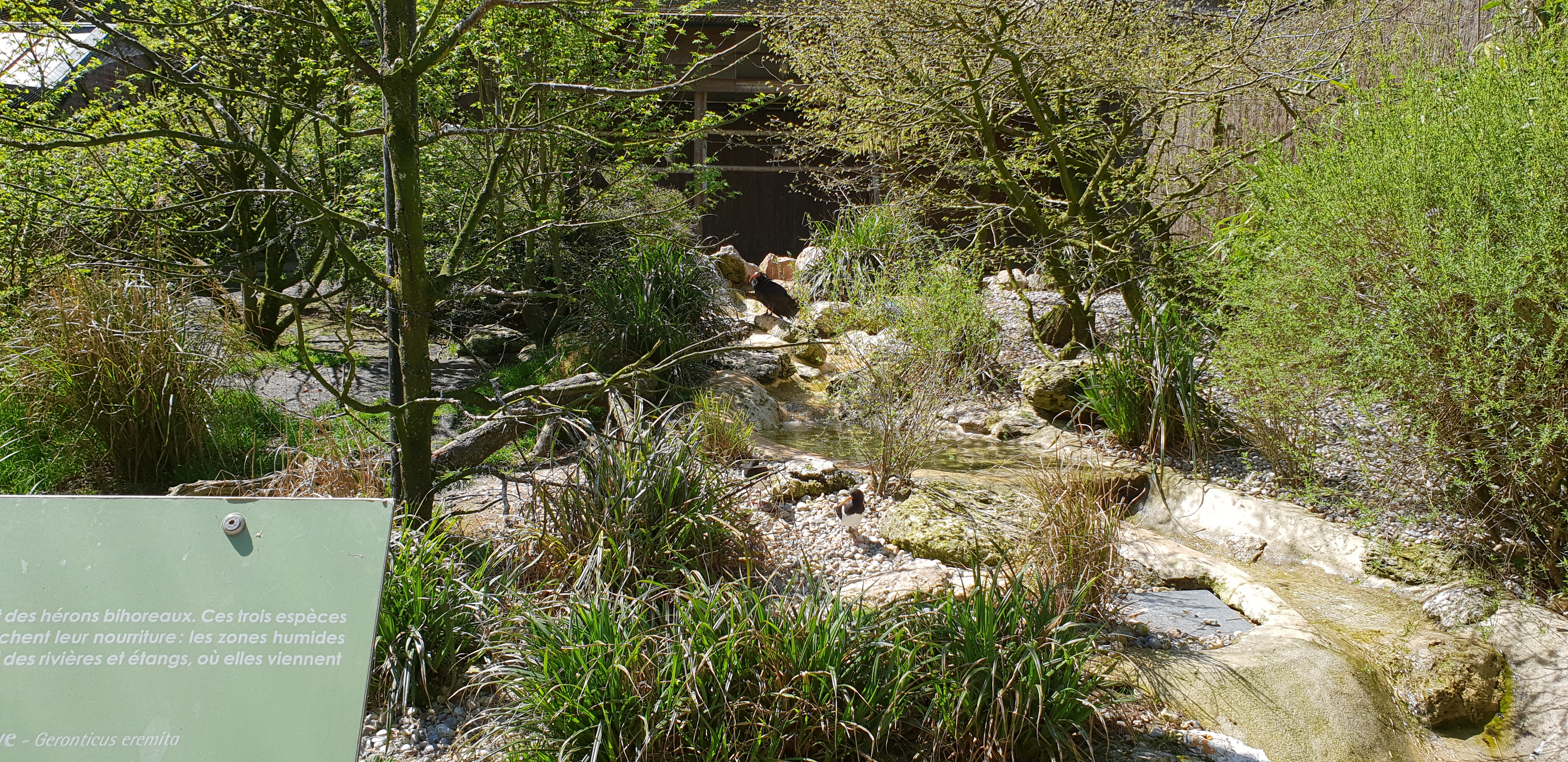 Photo n° 13 de l'avis de Dominique.A fait le 18/04/2018 à 14:35