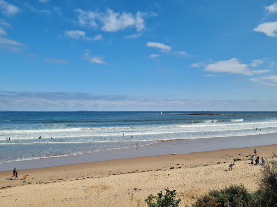 Seacliff strand