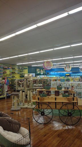 Pet Supply Store «Pet Supermarket», reviews and photos, 1235 Providence Blvd, Deltona, FL 32725, USA