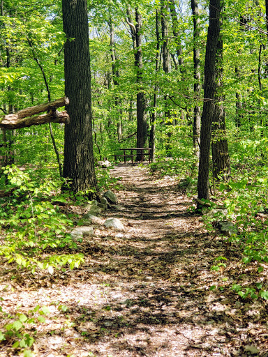 Nature Preserve «Teetertown Ravine Nature Preserve», reviews and photos, 30 Pleasant Grove Rd, Port Murray, NJ 07865, USA