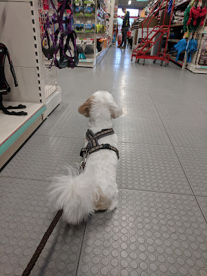 Jollyes - The Pet People Norwich