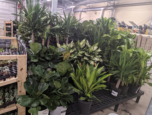 Department Store «Walmart Supercenter», reviews and photos, 33 Sherwood Dr, Tilton, NH 03276, USA