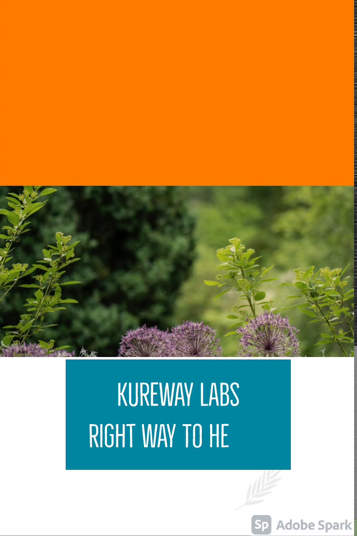 Kureway Labs