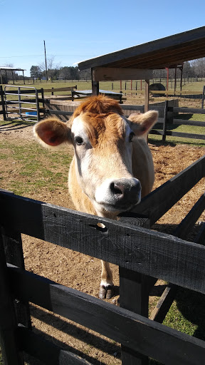 Wedding Venue «Rancho Alegre Farm», reviews and photos, 2225 Givens Rd, Dacula, GA 30019, USA