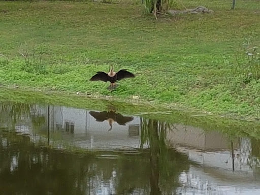 Golf Course «River Run Golf Links», reviews and photos, 1801 27th St E, Bradenton, FL 34208, USA
