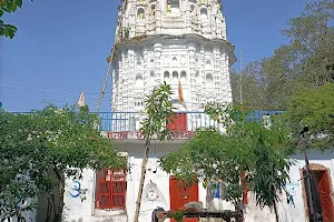 Shri Siddhnath mahadev Mandir image