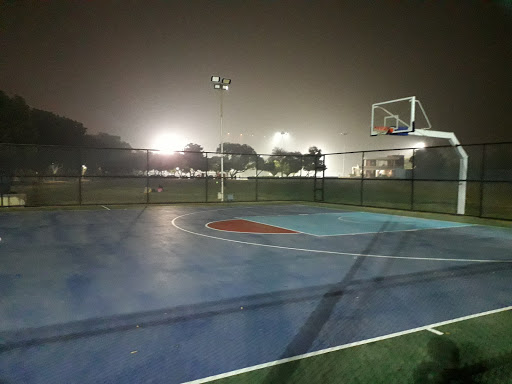 IIT delhi Basketball Ground