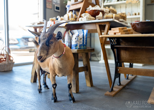 The Wild Bunch Homestead - Goat Milk Skin Care & Eco-Friendly Home Good Mercantile