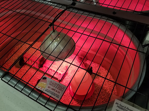 Home Improvement Store «Wilco Farm Store», reviews and photos, 1901A NE 162nd Ave, Vancouver, WA 98684, USA