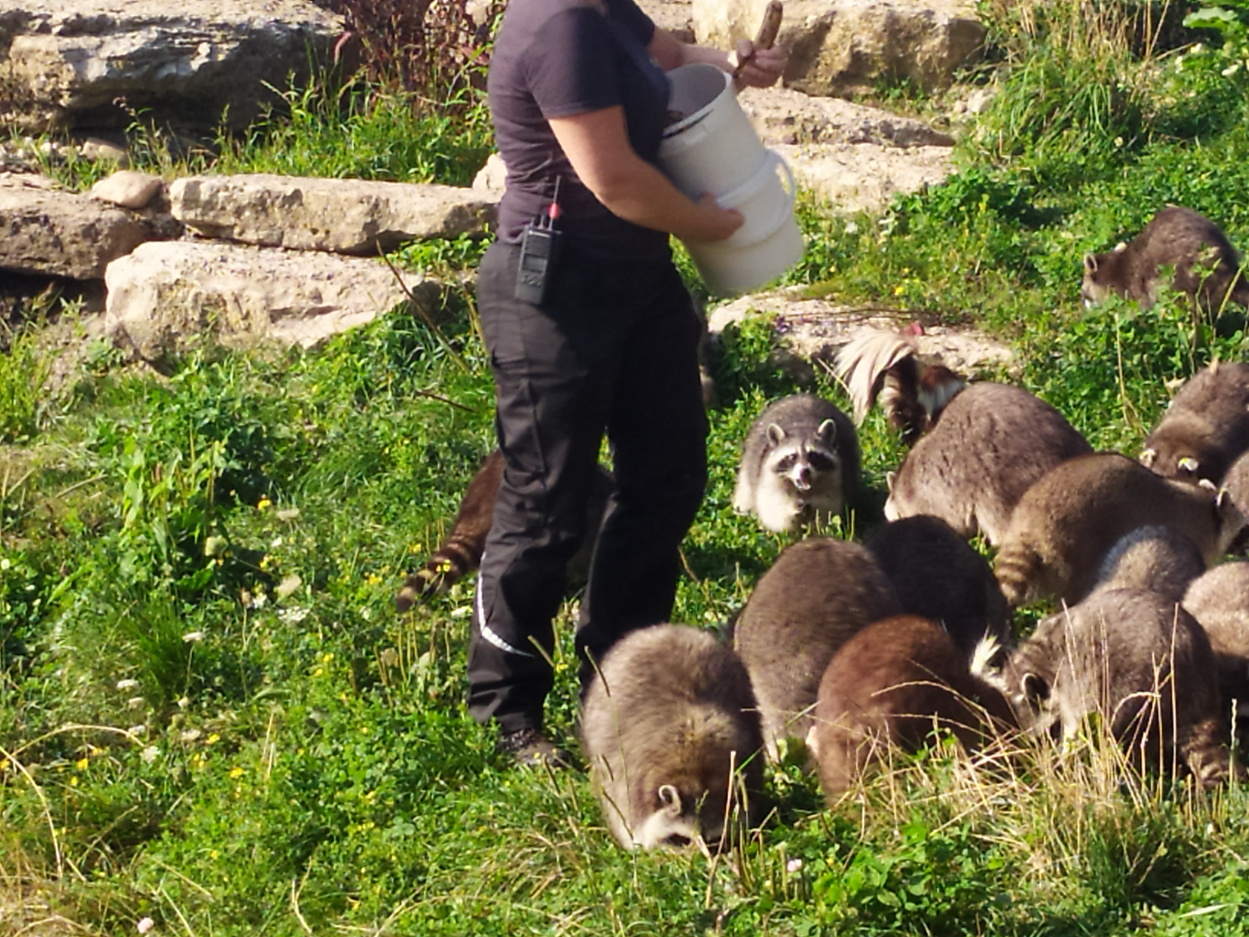 Photo n° 2 de l'avis de BOULANGER.h fait le 15/08/2021 à 15:50