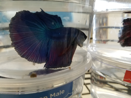 Pet Supply Store «Petco Animal Supplies», reviews and photos, 9270 Joliet Rd #400, Hodgkins, IL 60525, USA