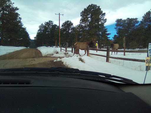 Fishing Store «Blue Quill Angler», reviews and photos, 1532 Bergen Pkwy, Evergreen, CO 80439, USA
