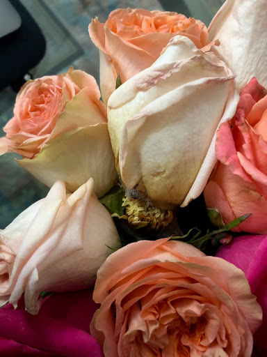 Florist «Winston Flowers - Concord», reviews and photos, 32 Main St #5, Concord, MA 01742, USA