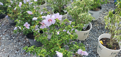 Garden Center «Distinctive Gardens», reviews and photos, 1531 Telegraph Rd, West Chester, PA 19380, USA