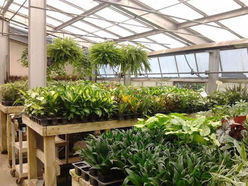 Florist «Dick Adgate Florist», reviews and photos, 2300 Elm Rd NE, Warren, OH 44483, USA