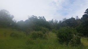 Sonoma Overlook Trail - photo 12