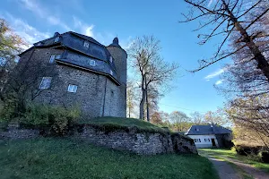 Burg Wildenburg image