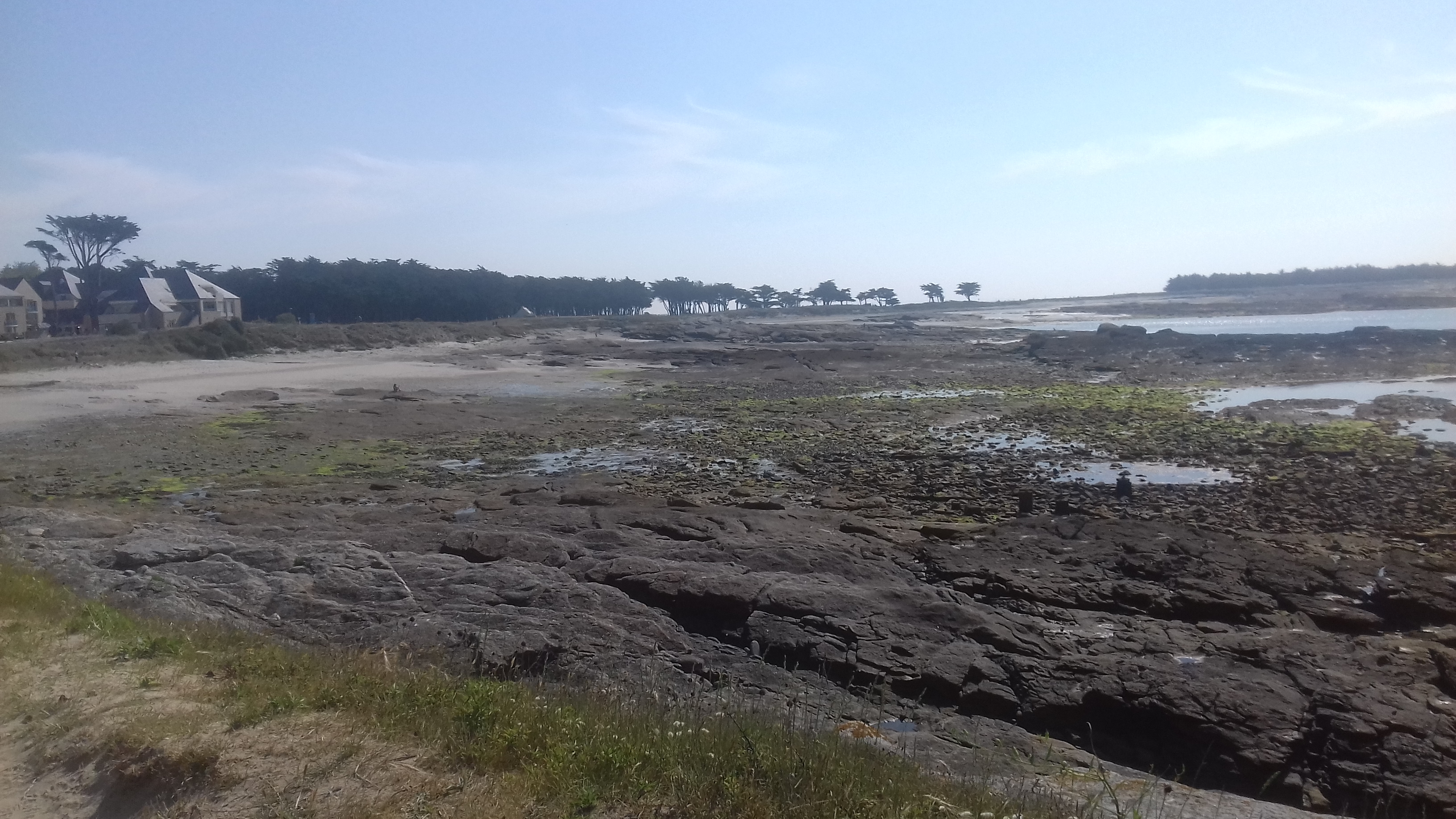 Photo n° 1 de l'avis de didier.h fait le 29/06/2021 à 17:14