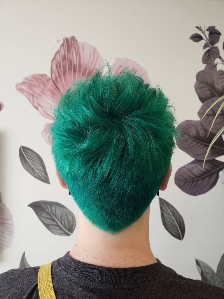 Hair Studio 55008