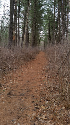 Nature Preserve «Thorn Creek Woods Nature Preserve», reviews and photos, 247 Monee Rd, Park Forest, IL 60466, USA