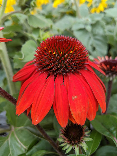 Home Improvement Store «The Home Depot», reviews and photos, 1200 Nixon Dr, Mt Laurel, NJ 08054, USA