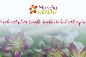 Mondia Health Vereeniging image