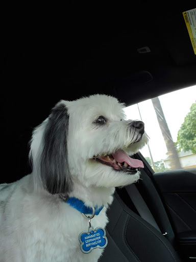 Pet Supply Store «PetSmart», reviews and photos, 1800 Evans Rd, Melbourne, FL 32904, USA