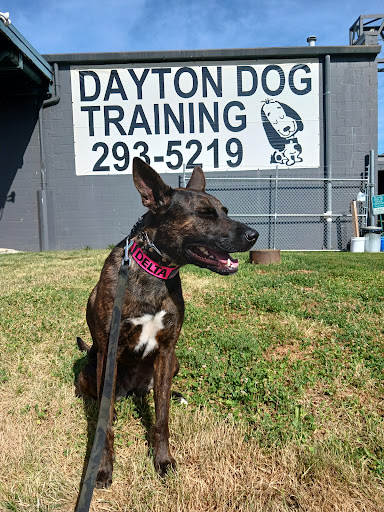 Dayton Dog Training Club