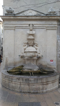 Fontaine Nostradamus du Restaurant BISTROTSTEAKHOUSE à Saint-Rémy-de-Provence - n°1