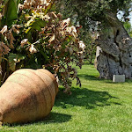 Photo n°5 de l'avis de egidio.a fait le 09/05/2022 à 17:54 sur le  Tenuta Moreno à Mesagne