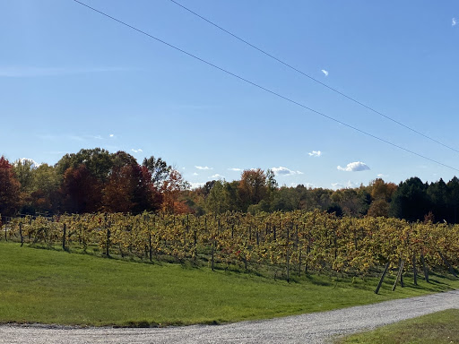 Winery «Oceana Winery & Vineyard», reviews and photos, 4980 S 52nd Ave, New Era, MI 49446, USA