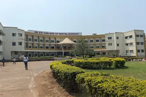 Sri Sai College of Dental Surgery & Hospital image