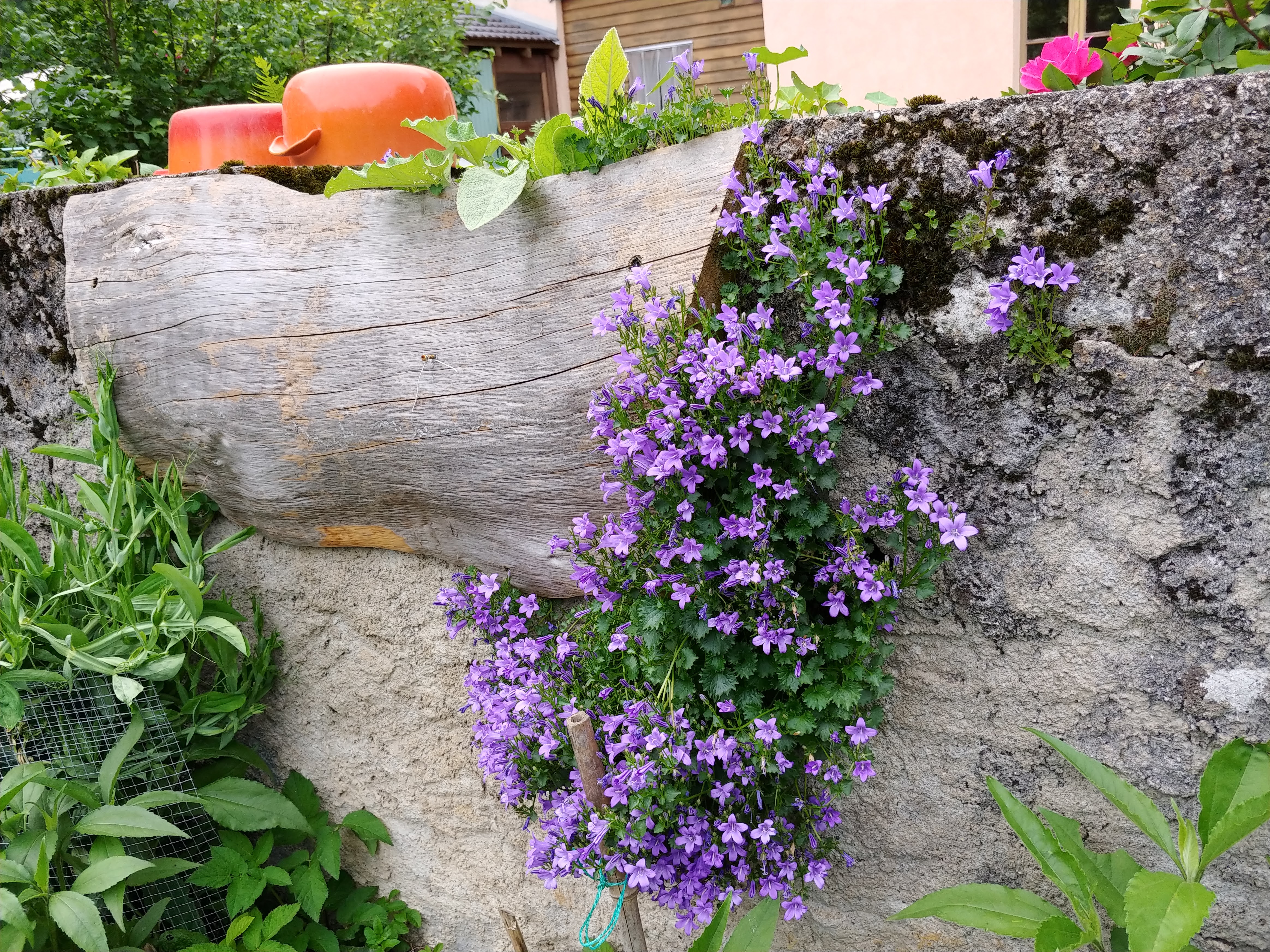 Photo n° 6 de l'avis de L. fait le 27/05/2018 à 14:25
