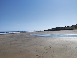Seafield Beach'in fotoğrafı vahşi alan
