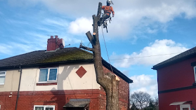 Forever-tree’s Manchester tree surgeon and landscaping