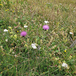 Photo n°13 de l'avis de Diana.k fait le 03/08/2020 à 16:18 sur le  Chalet Col dei Baldi à Alleghe