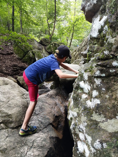 State Park «Patapsco Valley State Park», reviews and photos, 8020 Baltimore National Pike, Ellicott City, MD 21043, USA