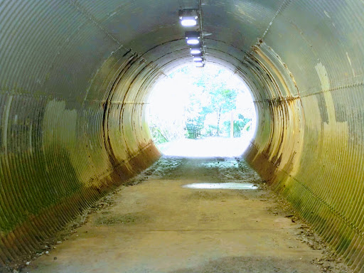 State Park «Hammerman Area Beach», reviews and photos, 7200 Graces Quarters Road, Middle River, MD 21220, USA