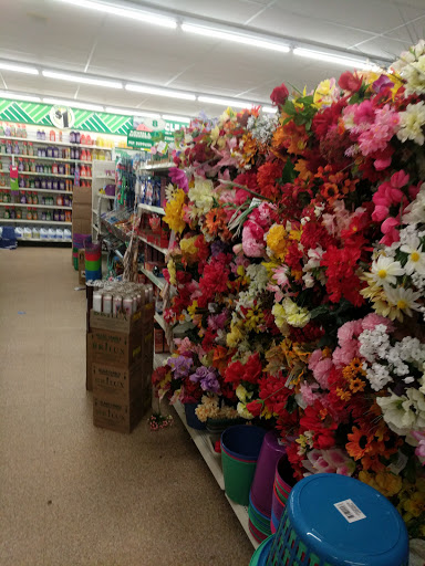 Dollar Store «Dollar Tree», reviews and photos, 8634 Baymeadows Rd, Jacksonville, FL 32256, USA