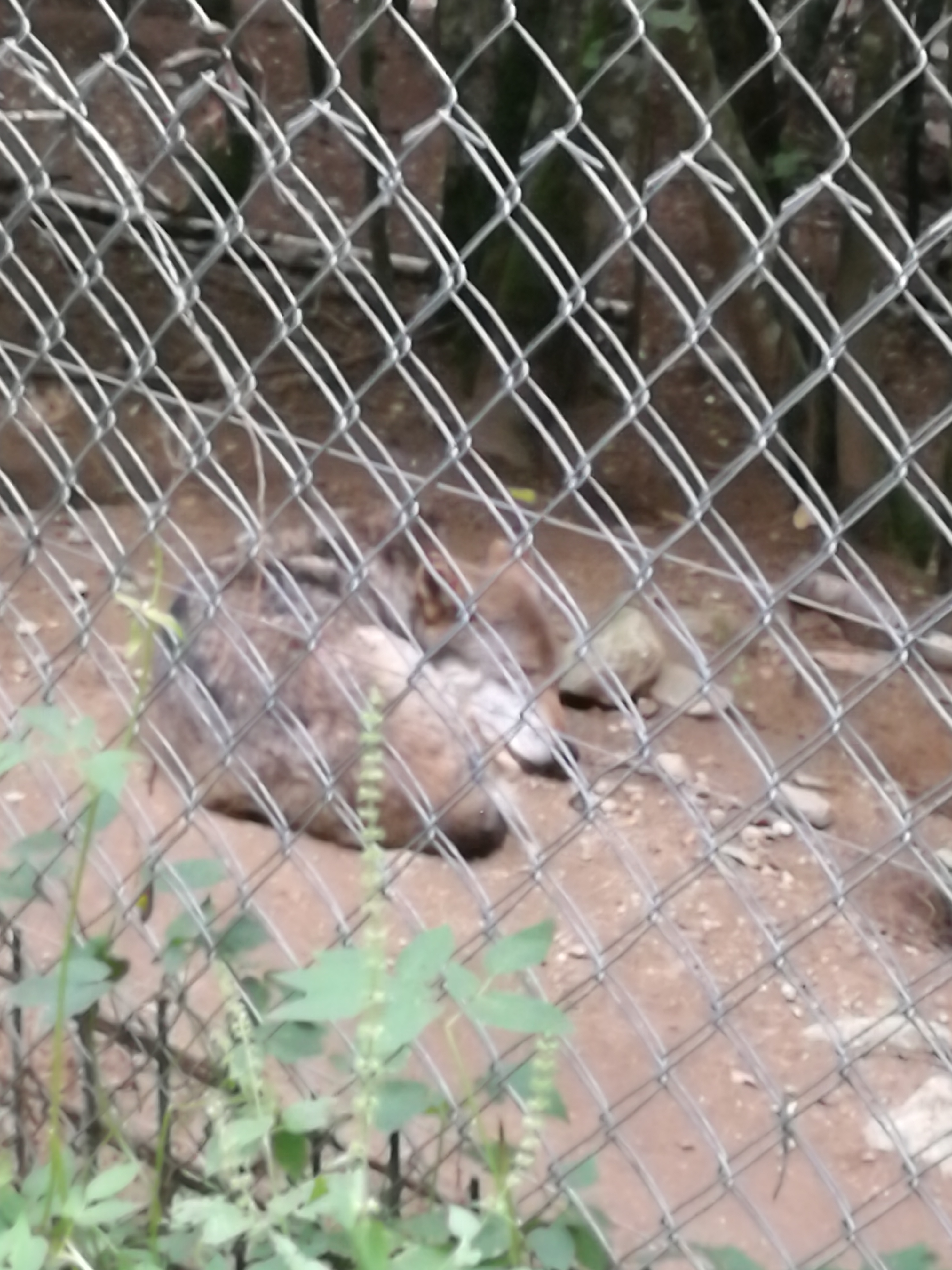 Photo n° 2 de l'avis de Fauvel.l fait le 02/09/2022 à 16:01