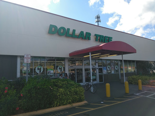 Dollar Store «Dollar Tree», reviews and photos, 9221 N 56th St, Temple Terrace, FL 33617, USA