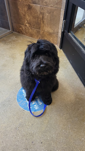 Pet Supply Store «PetSmart», reviews and photos, 700 Gallery Blvd b, Scarborough, ME 04074, USA