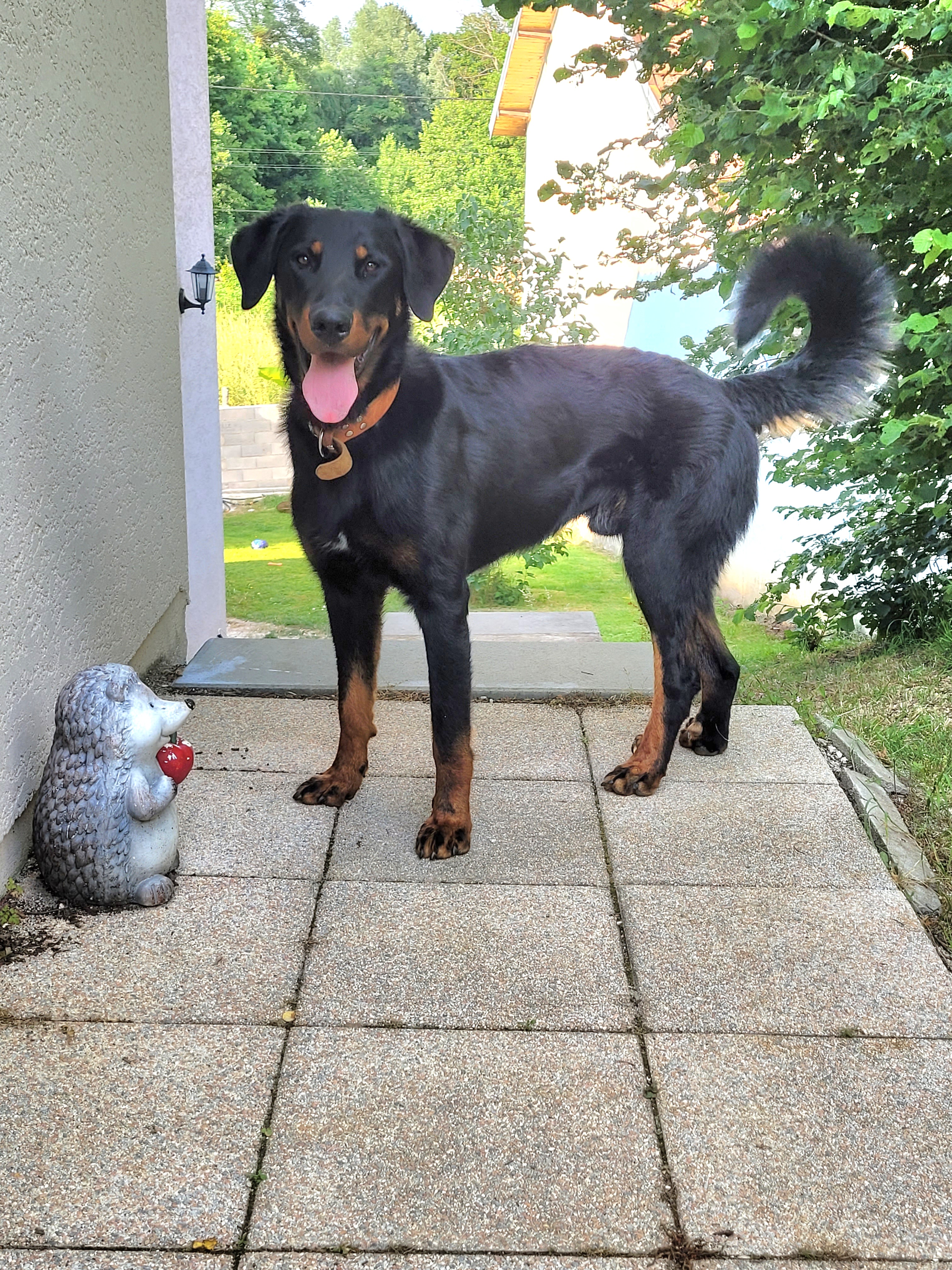 Photo n° 1 de l'avis de Émilie.o fait le 22/06/2023 à 17:08