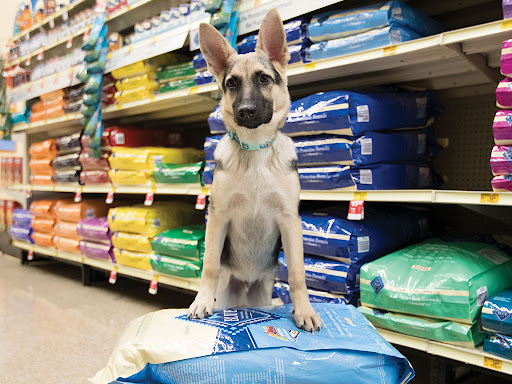 Pet Supply Store «PetSmart», reviews and photos, 2800 TX-121, Euless, TX 76039, USA